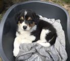 Vorschaubild 4