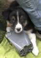 Vorschaubild 5