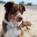 Vorschaubild 6