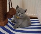 Vorschaubild 6