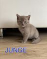 Vorschaubild 8