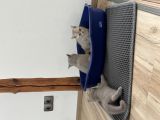 Vorschaubild 7