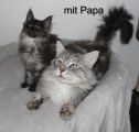 Vorschaubild 9