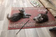 Vorschaubild 7