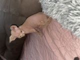 Vorschaubild 2
