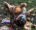 Vorschaubild 7
