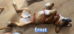 Vorschaubild 9