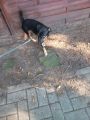 Vorschaubild 2