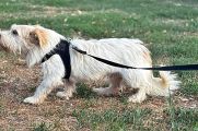 Vorschaubild 9