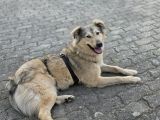 Vorschaubild 2