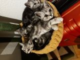Vorschaubild 3