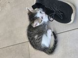 Vorschaubild 3