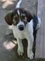 Vorschaubild 4