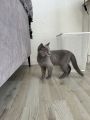 Vorschaubild 3