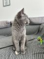 Vorschaubild 1