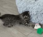 Vorschaubild 7