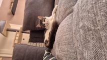 Vorschaubild 2