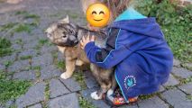 Vorschaubild 5