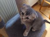 Vorschaubild 7
