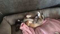 Vorschaubild 7