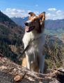 Vorschaubild 6