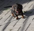 Vorschaubild 6