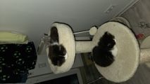 Vorschaubild 3
