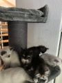 Vorschaubild 1
