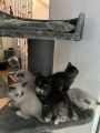 Vorschaubild 3