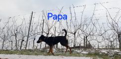 Vorschaubild 9