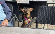 Vorschaubild 4