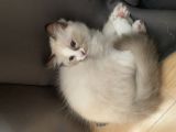 Vorschaubild 7