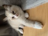 Vorschaubild 6