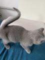 Vorschaubild 4