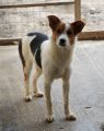 Vorschaubild 8