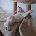 Vorschaubild 6