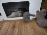 Vorschaubild 7