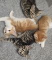 Vorschaubild 6