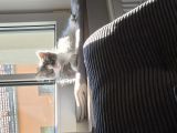 Vorschaubild 1