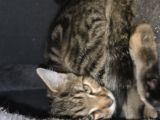 Vorschaubild 5