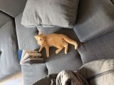 Vorschaubild 6