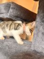 Vorschaubild 6