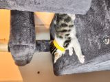 Vorschaubild 9