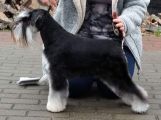Vorschaubild 7