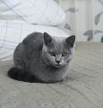 Vorschaubild 7