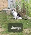 Vorschaubild 3