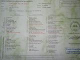 Vorschaubild 9