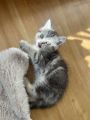 Vorschaubild 6
