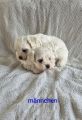 Vorschaubild 9
