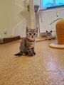 Vorschaubild 7